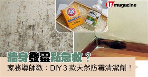 牆角發霉|【回南天防潮除霉攻略】低成本DIY對付牆身發霉問題